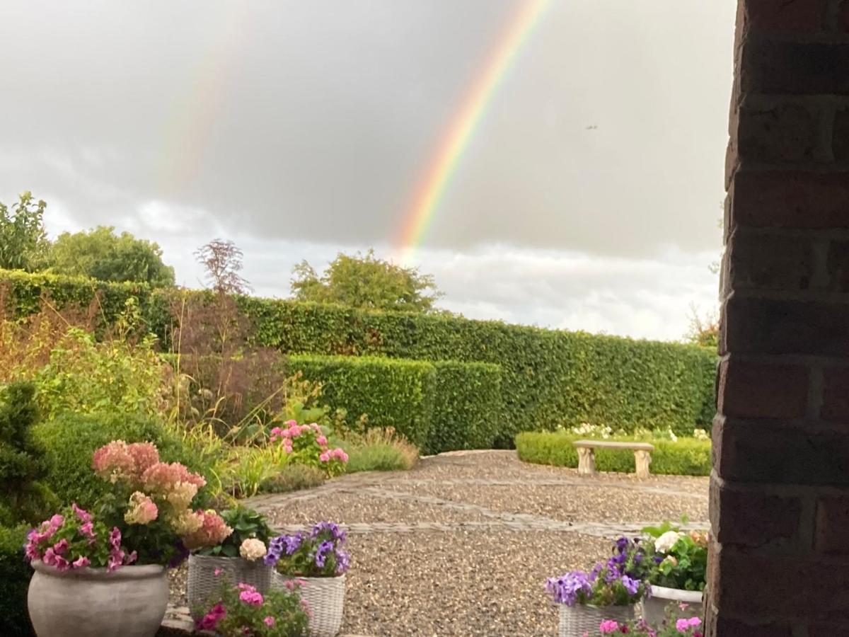 Clara Lodge Sallins Dış mekan fotoğraf